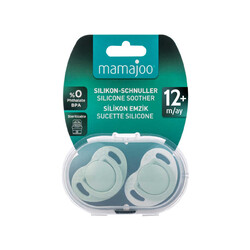 Mamajoo Orthodontic Design Soother Powder Green with Sterilization&Storage Box 12+ months - Thumbnail