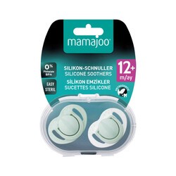 Mamajoo Orthodontic Design Soother Powder Green with Sterilization&Storage Box 12+ months - Thumbnail