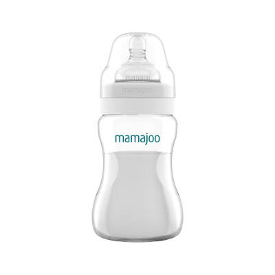 Mamajoo Silber Babyflasche 250 ml