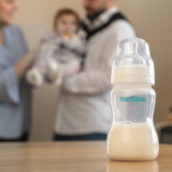 Mamajoo Silber Babyflasche 250 ml - Thumbnail