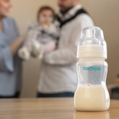 Mamajoo Silber Babyflasche 250 ml